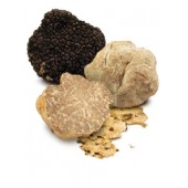 Truffle